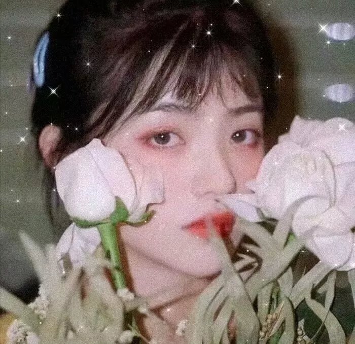 翡翠窝大阴谋
