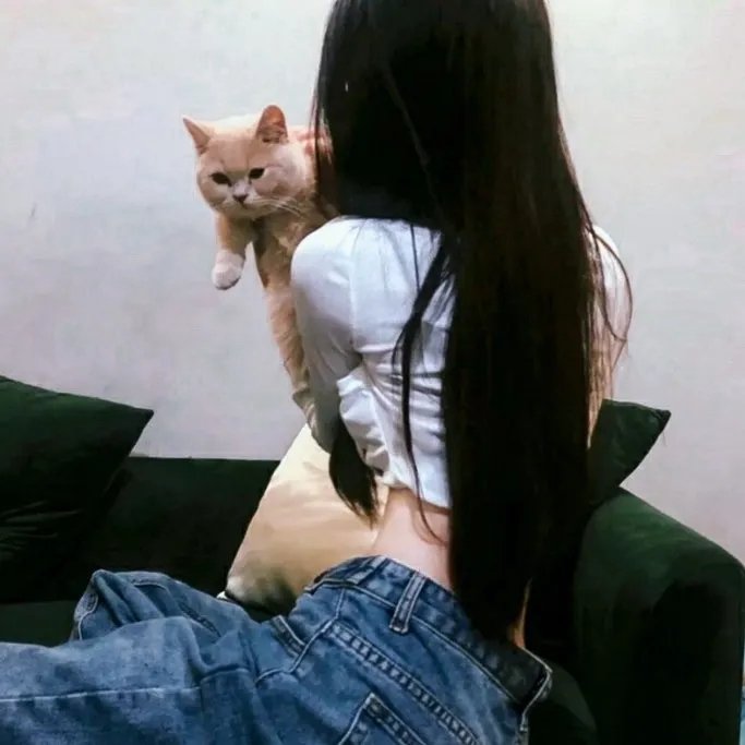 关于琼