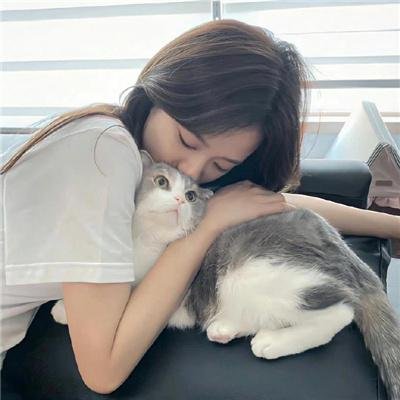 韩国泪的小花